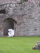 DudenDance at Dryburgh Abbey